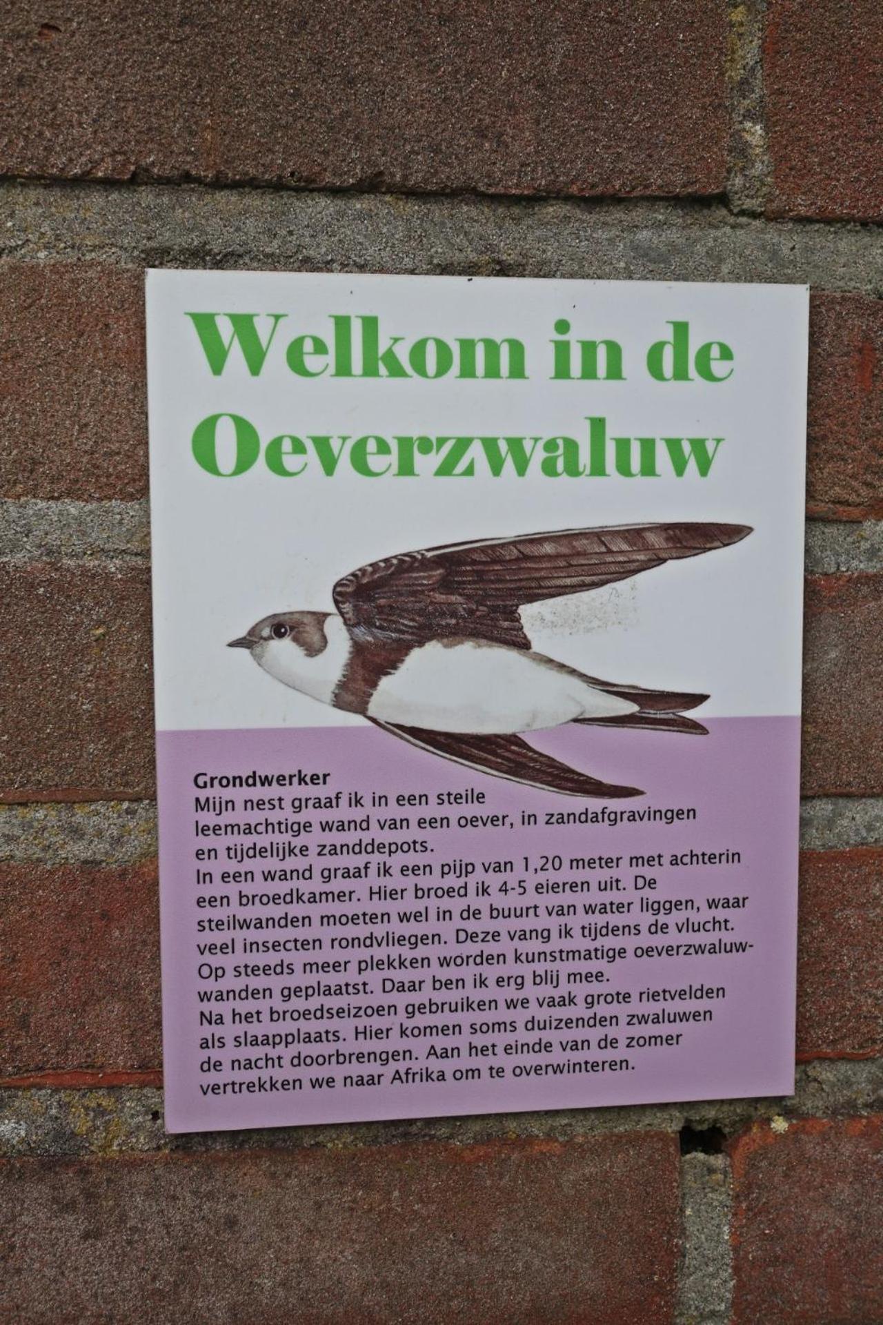 Vakantiewoning De Oeverzwaluw In Hartje Drenthe, Met Airco! Zwiggelte Exteriör bild